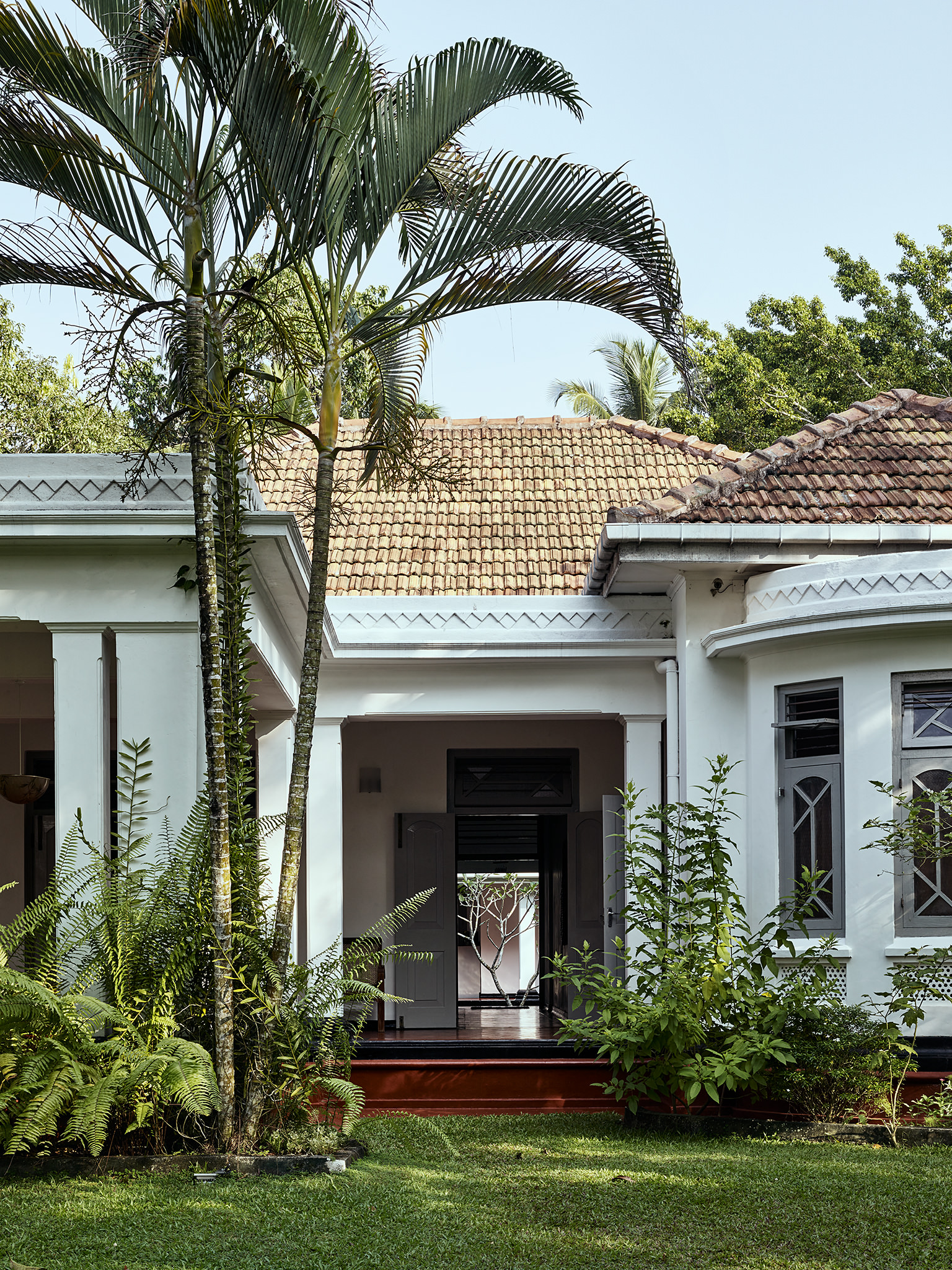 E16583 Alpa 055421 SCREEN